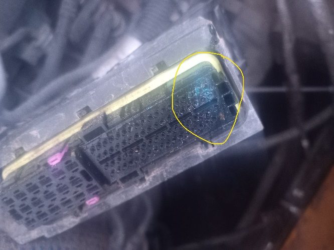 Большой разъём ЭБУ двигателя, окисленные контакты обведены